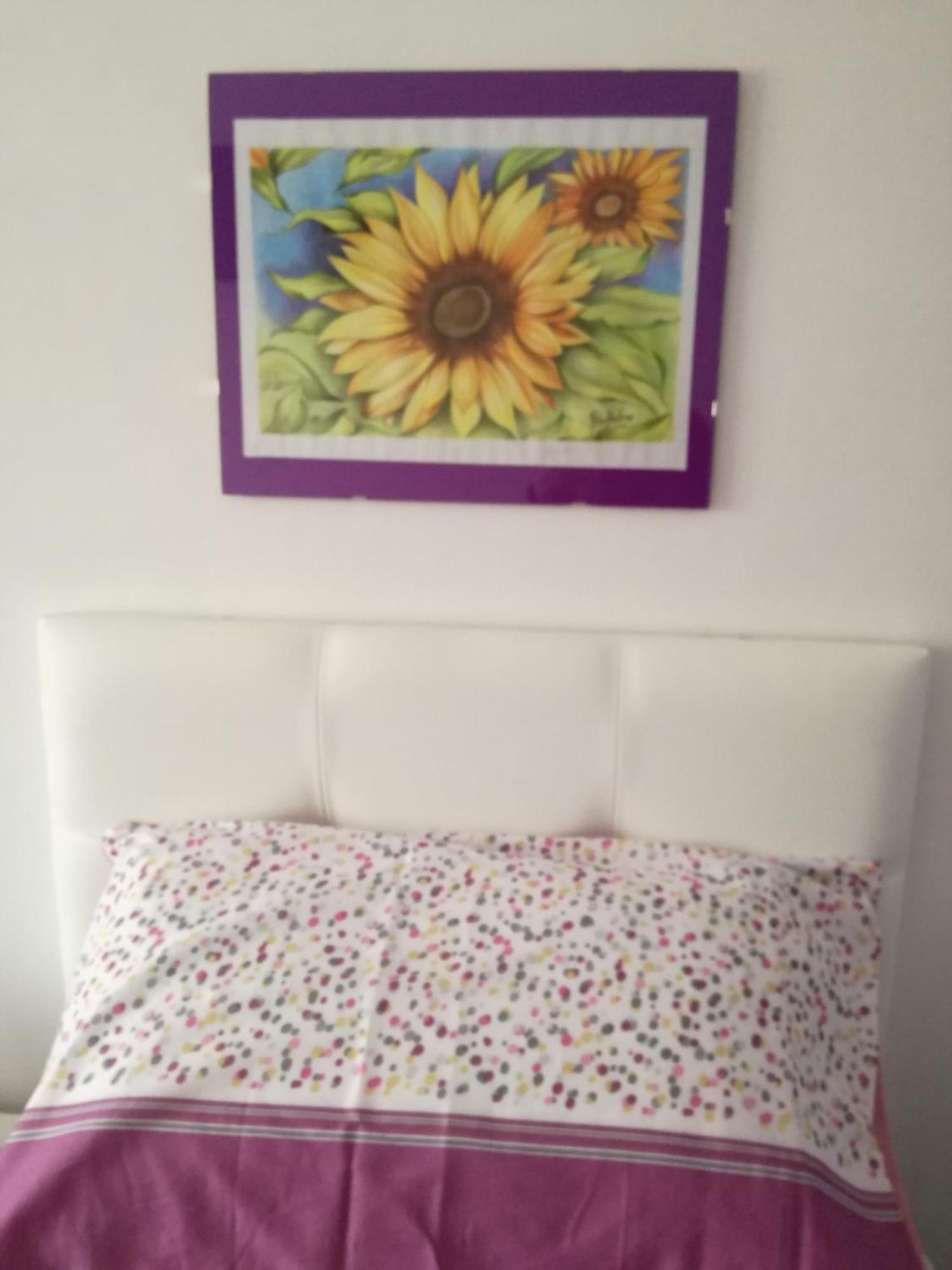 Vakantiehuis House Of Colours *